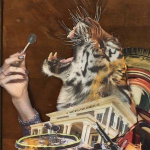 Meet your Posher, Sam